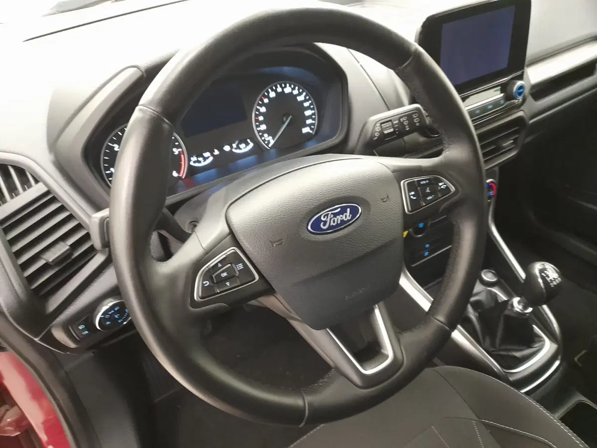 Ford EcoSport usata a Alessandria (11)