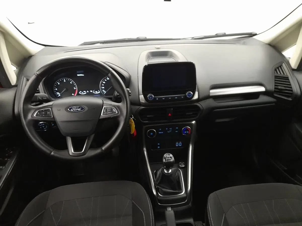 Ford EcoSport usata a Alessandria (12)