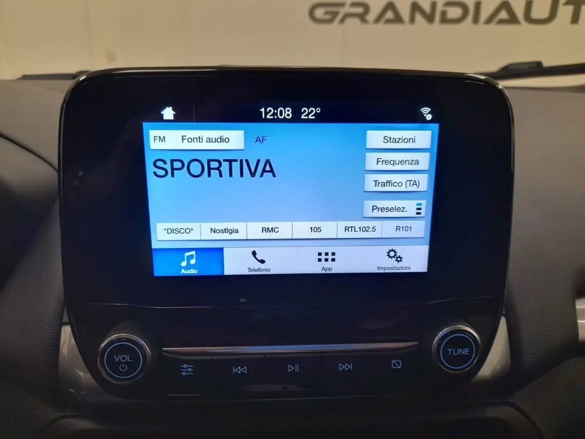 Ford EcoSport usata a Alessandria (14)