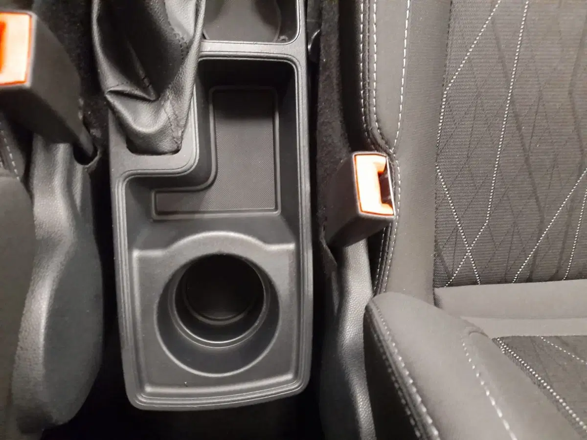 Ford EcoSport usata a Alessandria (18)