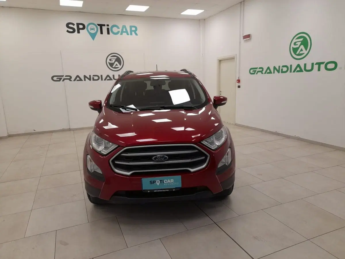 Ford EcoSport usata a Alessandria (3)
