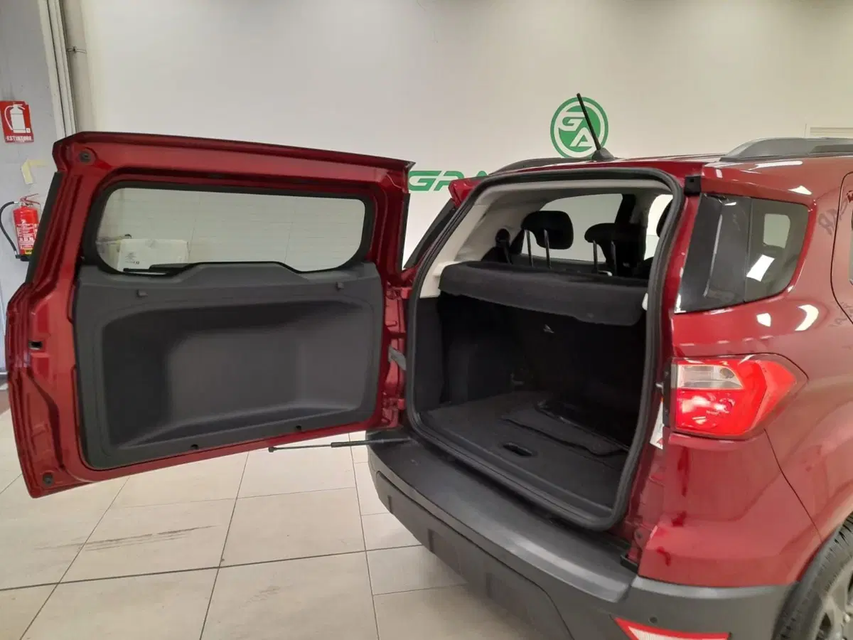 Ford EcoSport usata a Alessandria (8)
