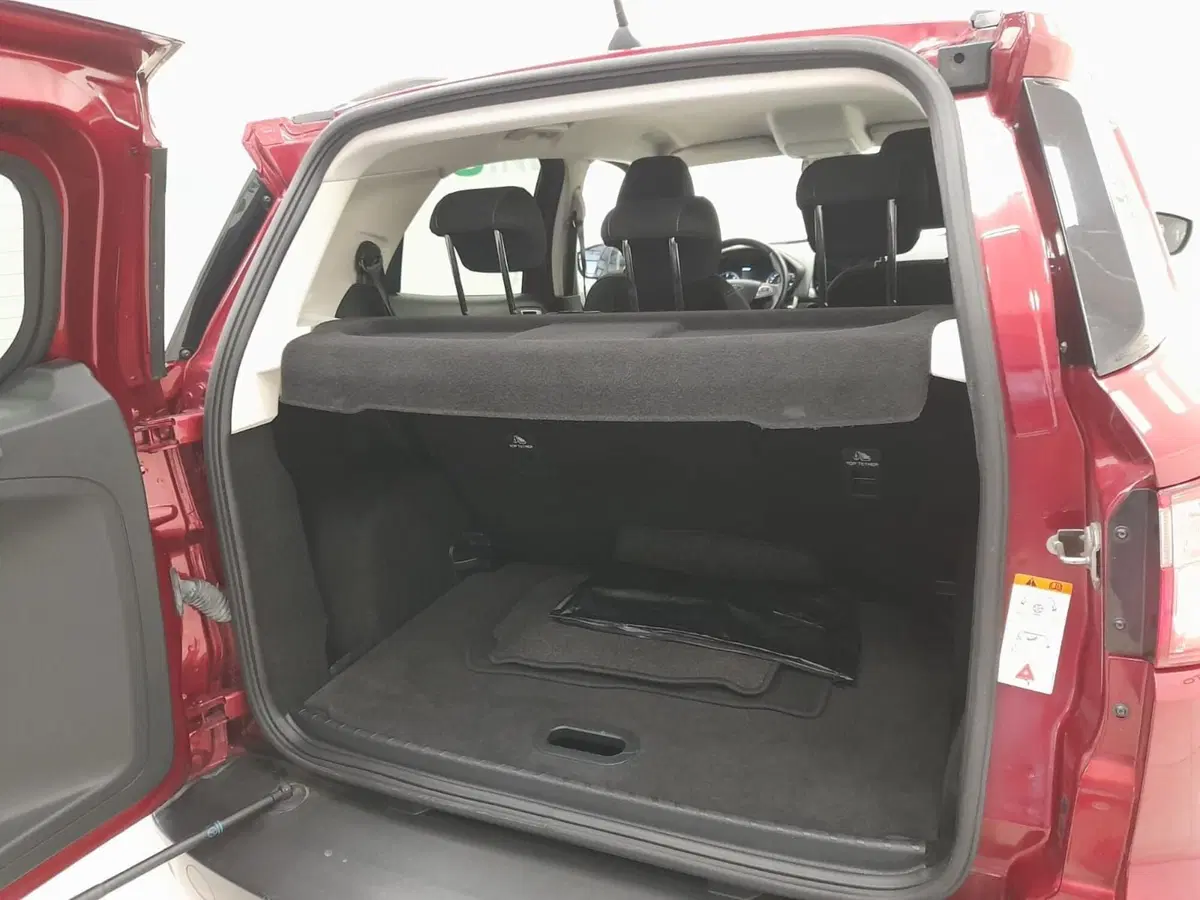 Ford EcoSport usata a Alessandria (9)
