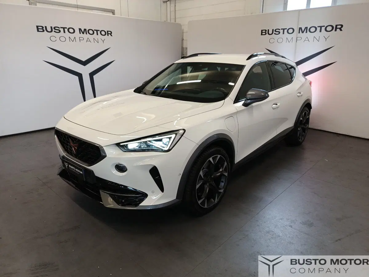 Cupra Formentor usata a Varese (3)