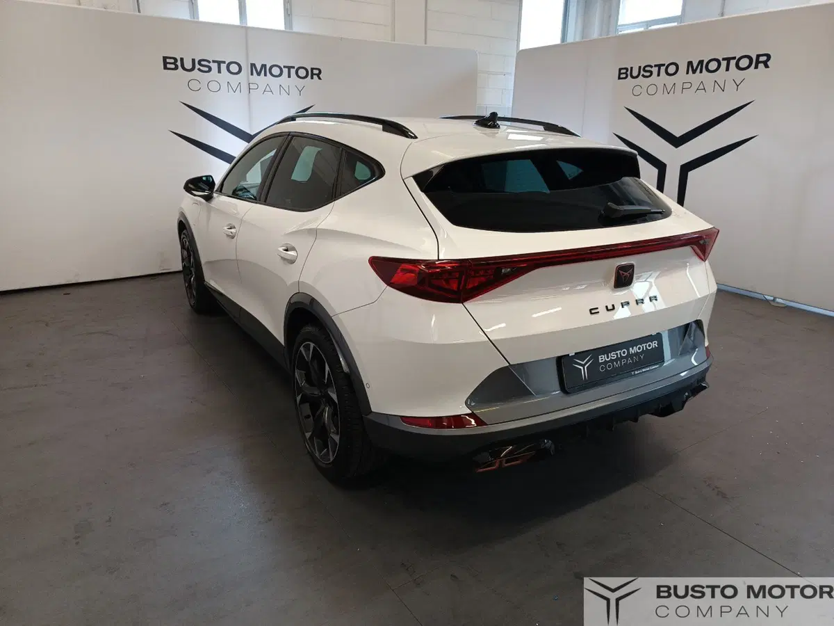 Cupra Formentor usata a Varese (6)