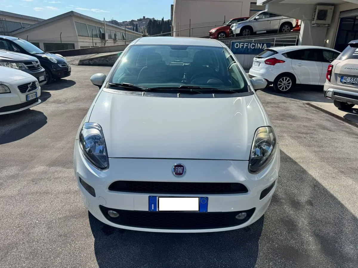 Fiat Punto usata a Macerata (2)