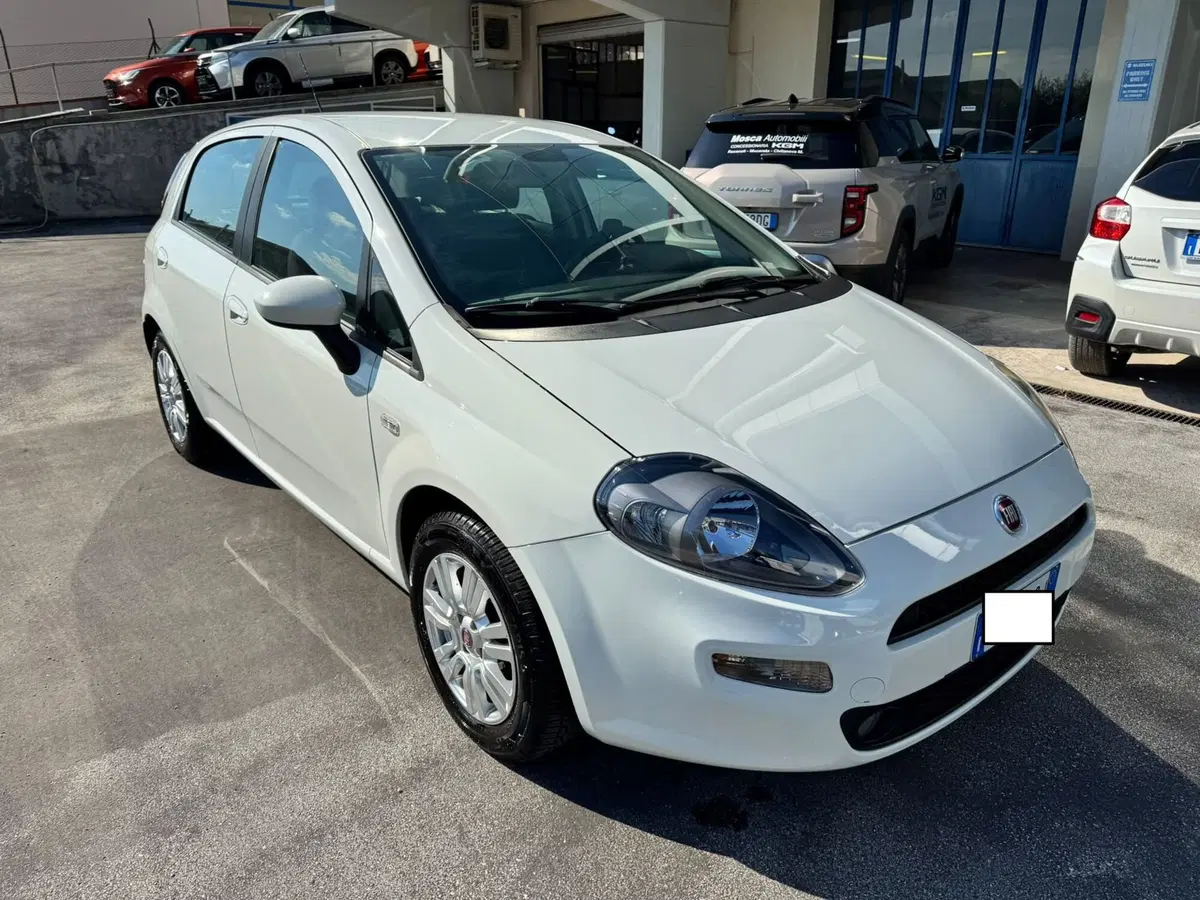Fiat Punto usata a Macerata (3)