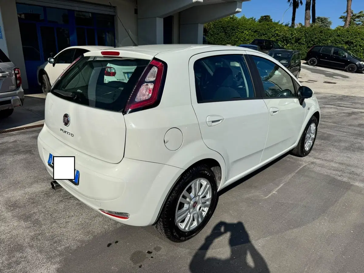 Fiat Punto usata a Macerata (4)