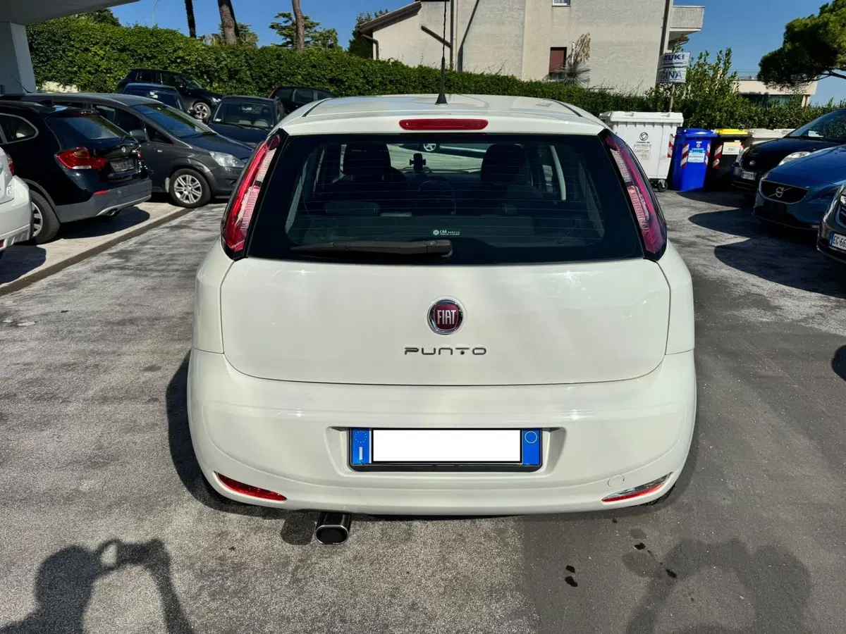 Fiat Punto usata a Macerata (5)