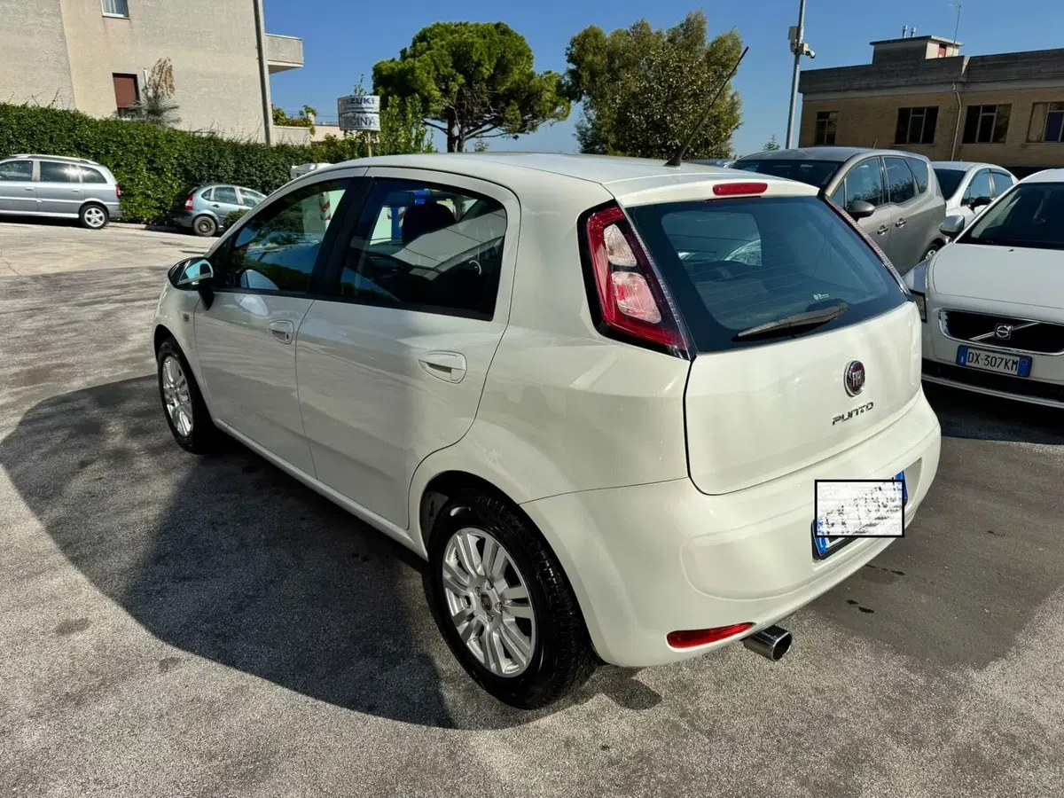 Fiat Punto usata a Macerata (6)