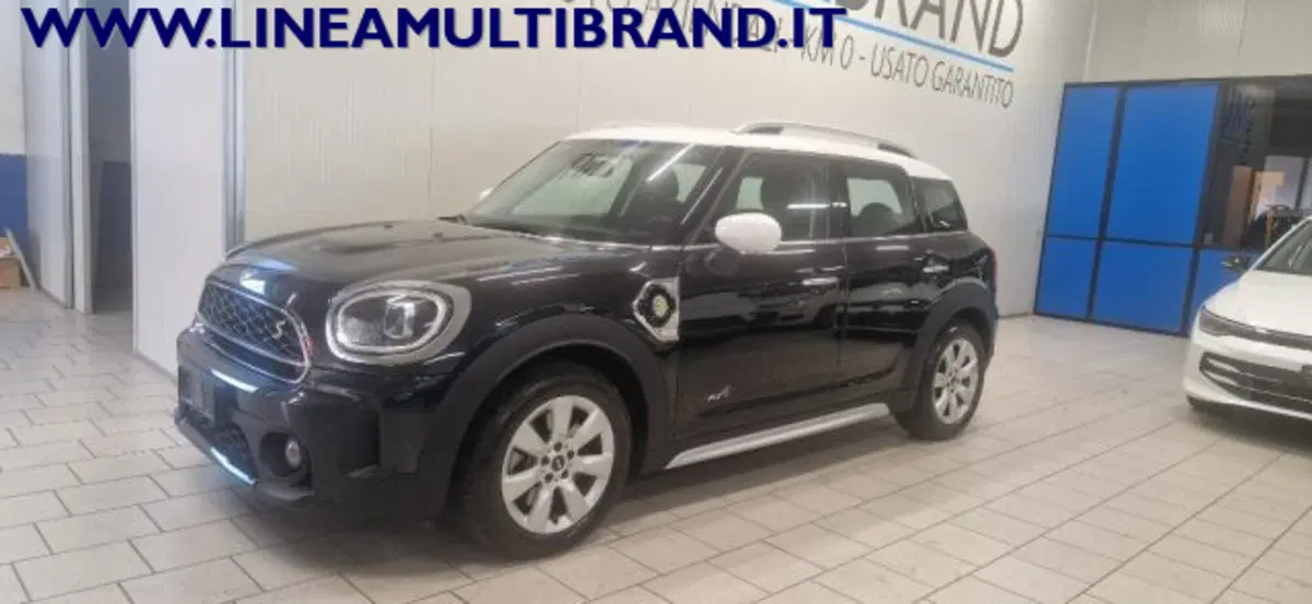 MINI Mini Countryman usata a Piacenza (3)