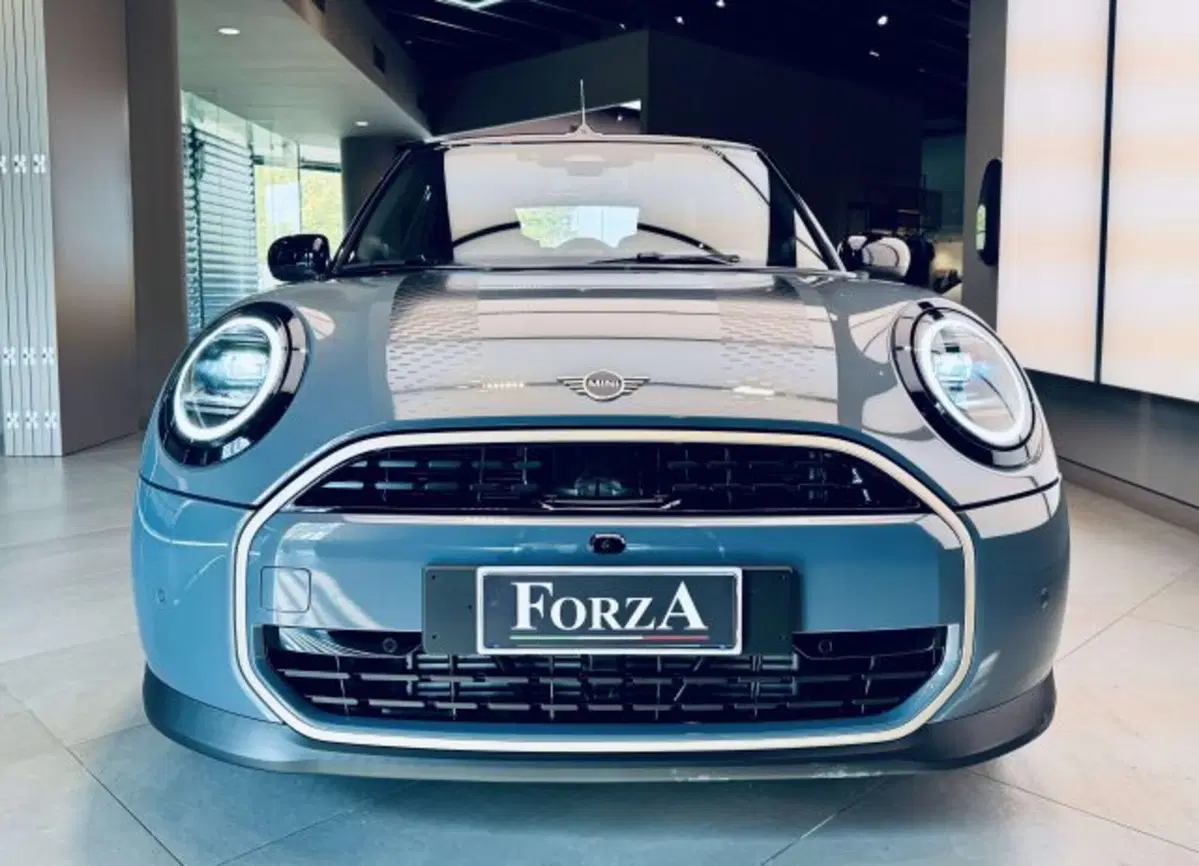 MINI Mini Cabrio usata a Torino (2)