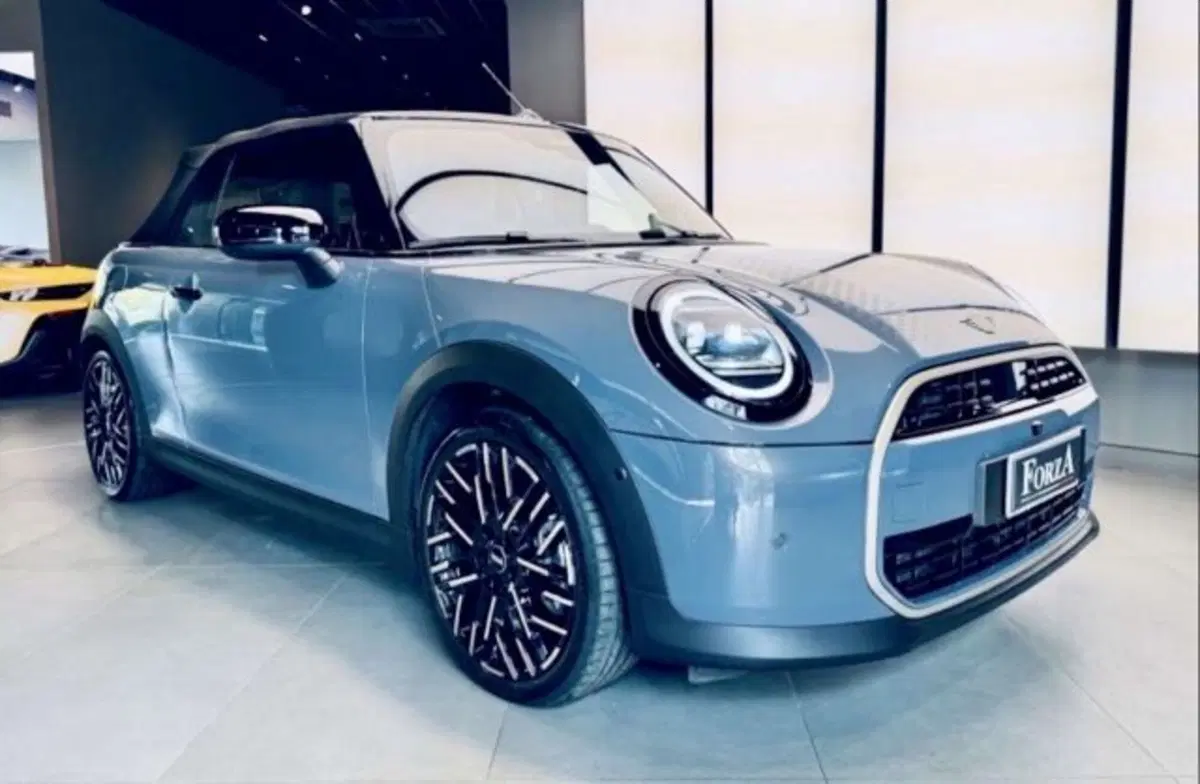 MINI Mini Cabrio usata a Torino (3)
