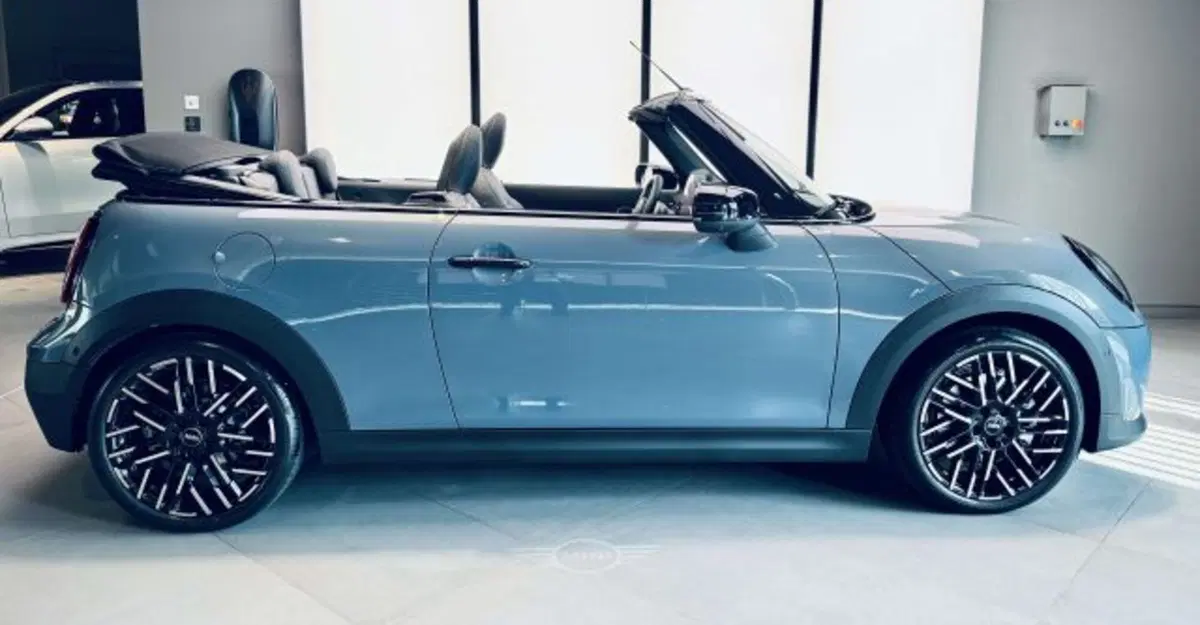MINI Mini Cabrio usata a Torino (8)