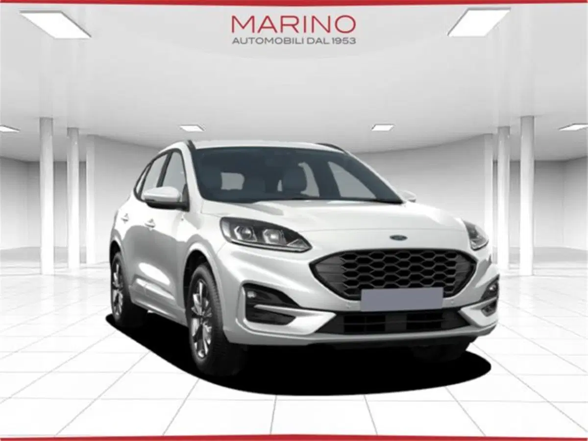 Ford Kuga usata a Bari (20)