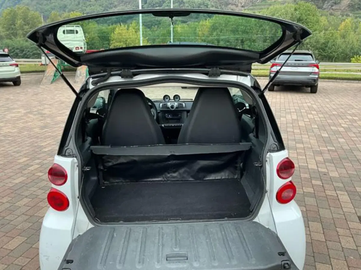 smart Fortwo usata a Sondrio (16)
