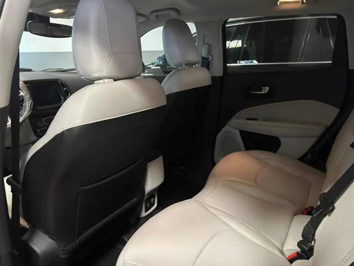 Jeep Compass usata a Vercelli (14)
