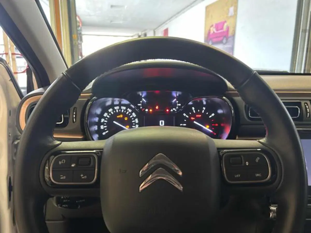 Citroen C3 usata a Vercelli (15)