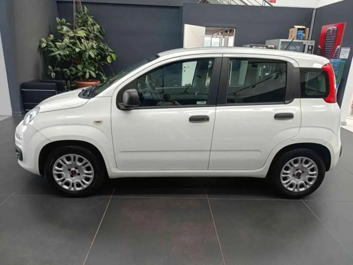 Fiat Panda usata a Vercelli (4)