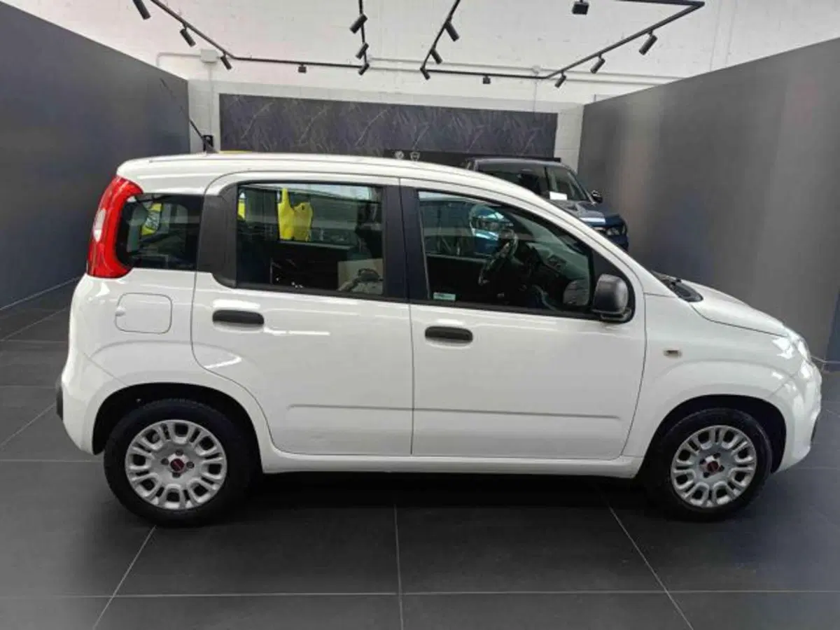 Fiat Panda usata a Vercelli (8)