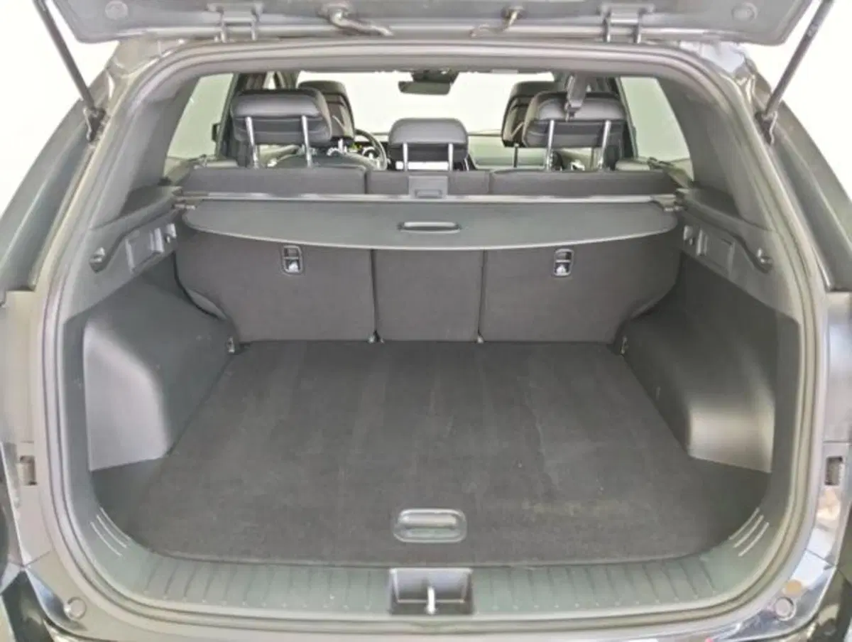 Kia Sportage usata a Como (20)