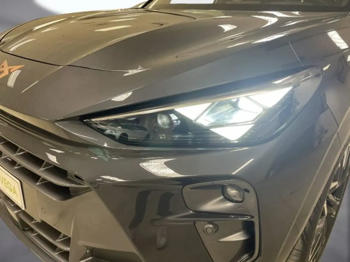 Cupra Terramar nuova a Vicenza (19)