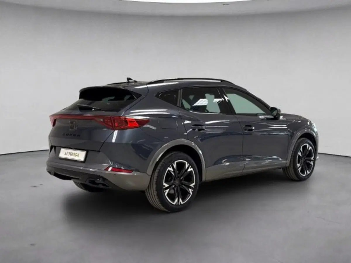 Cupra Formentor usata a Vicenza (4)