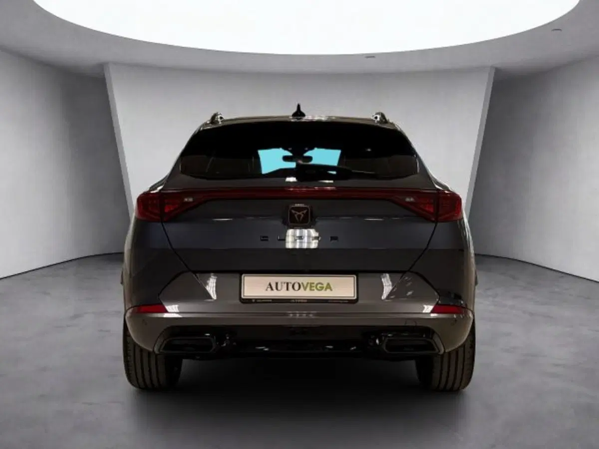 Cupra Formentor usata a Vicenza (5)
