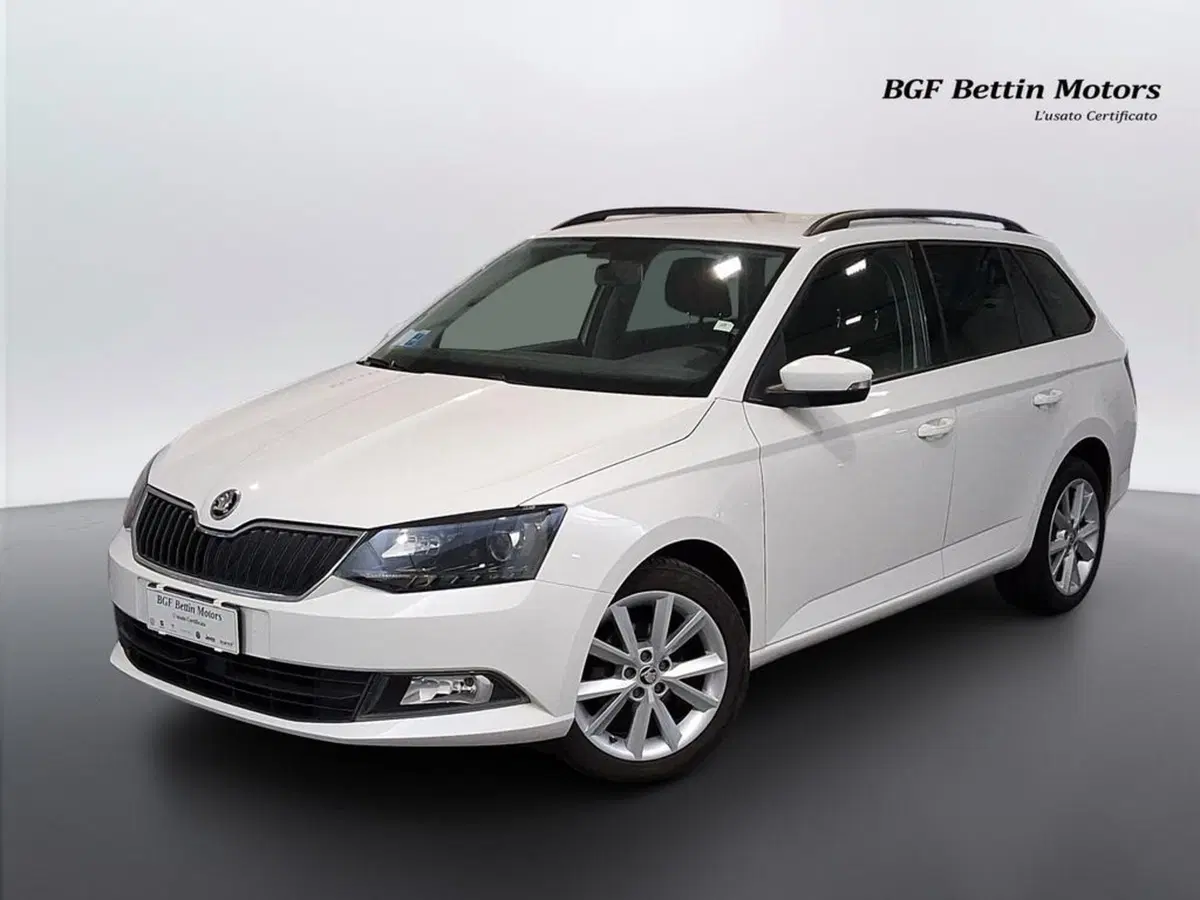 Skoda Fabia Station Wagon usata a Padova