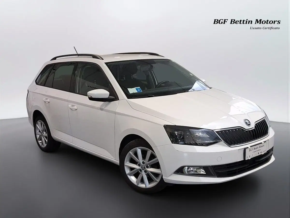 Skoda Fabia Station Wagon usata a Padova (6)