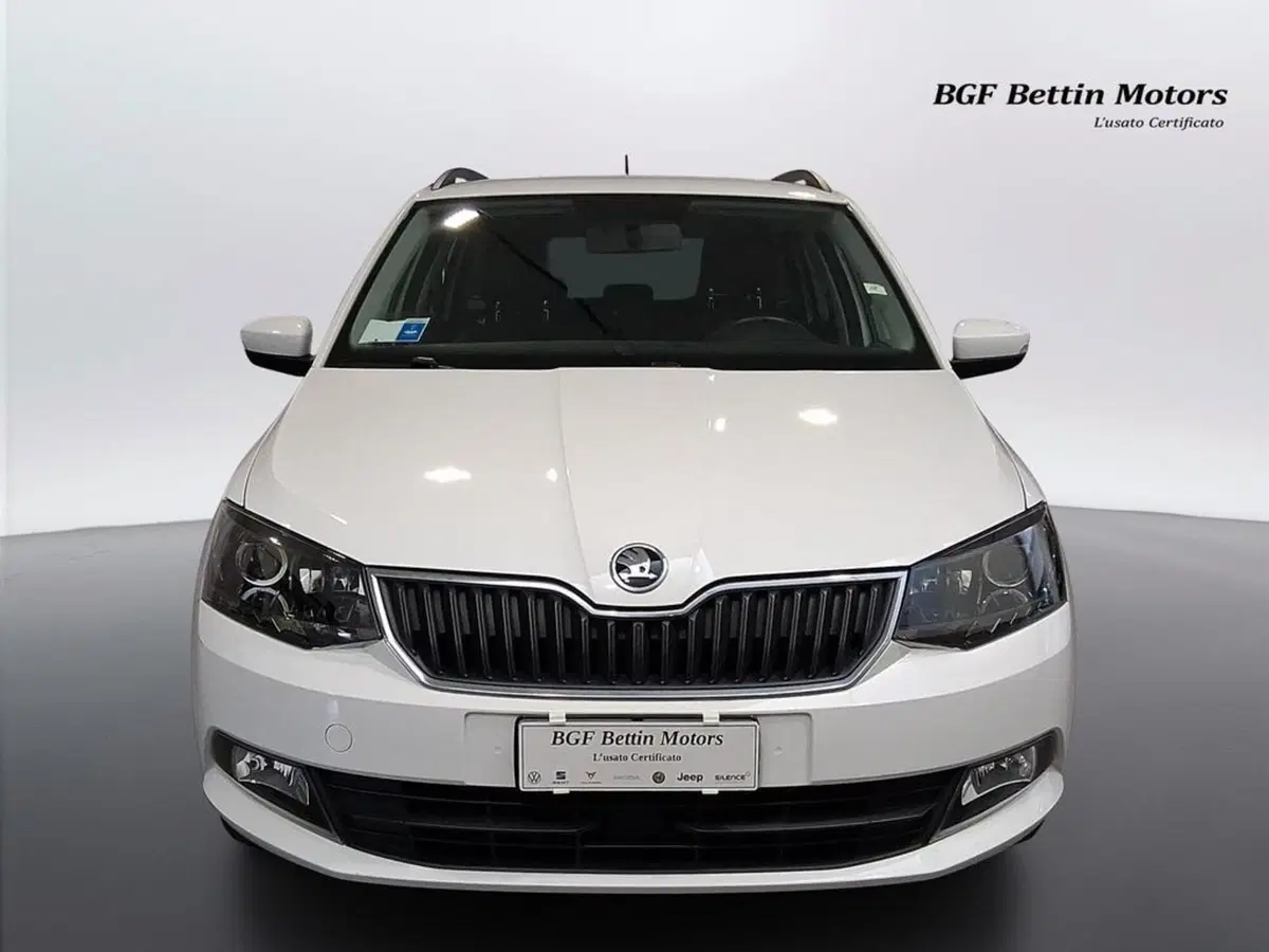 Skoda Fabia Station Wagon usata a Padova (7)