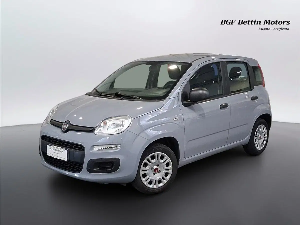 Fiat Panda usata a Padova