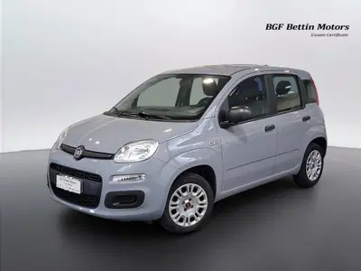 Fiat Panda 1.2 Easy del 2018 usata a Piove di Sacco