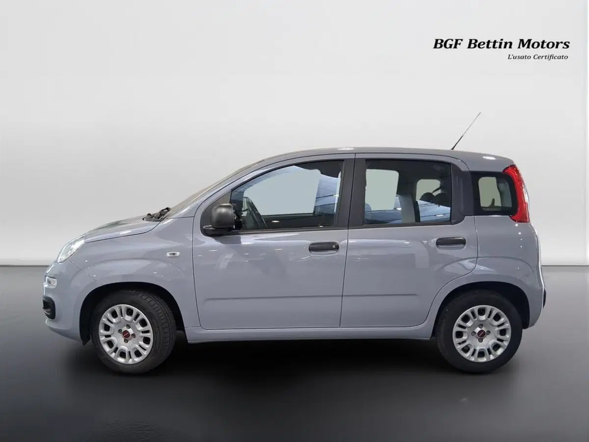 Fiat Panda usata a Padova (2)