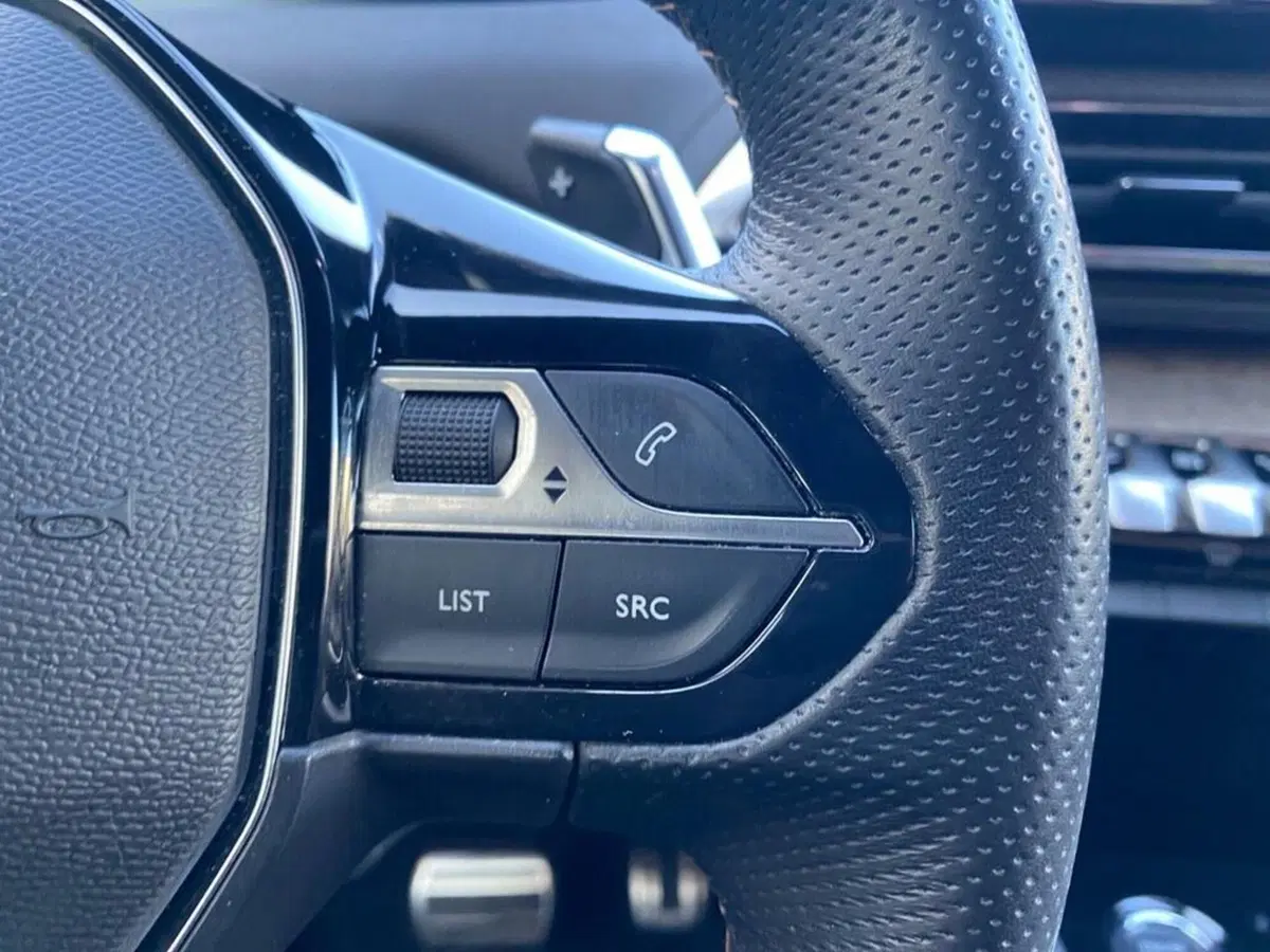 Peugeot 3008 usata a Torino (13)