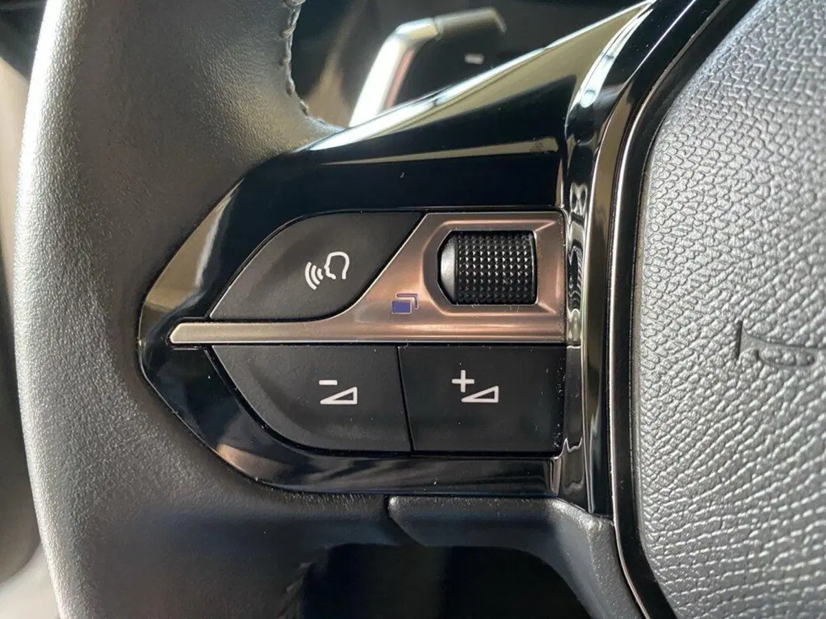 Peugeot 2008 usata a Torino (13)