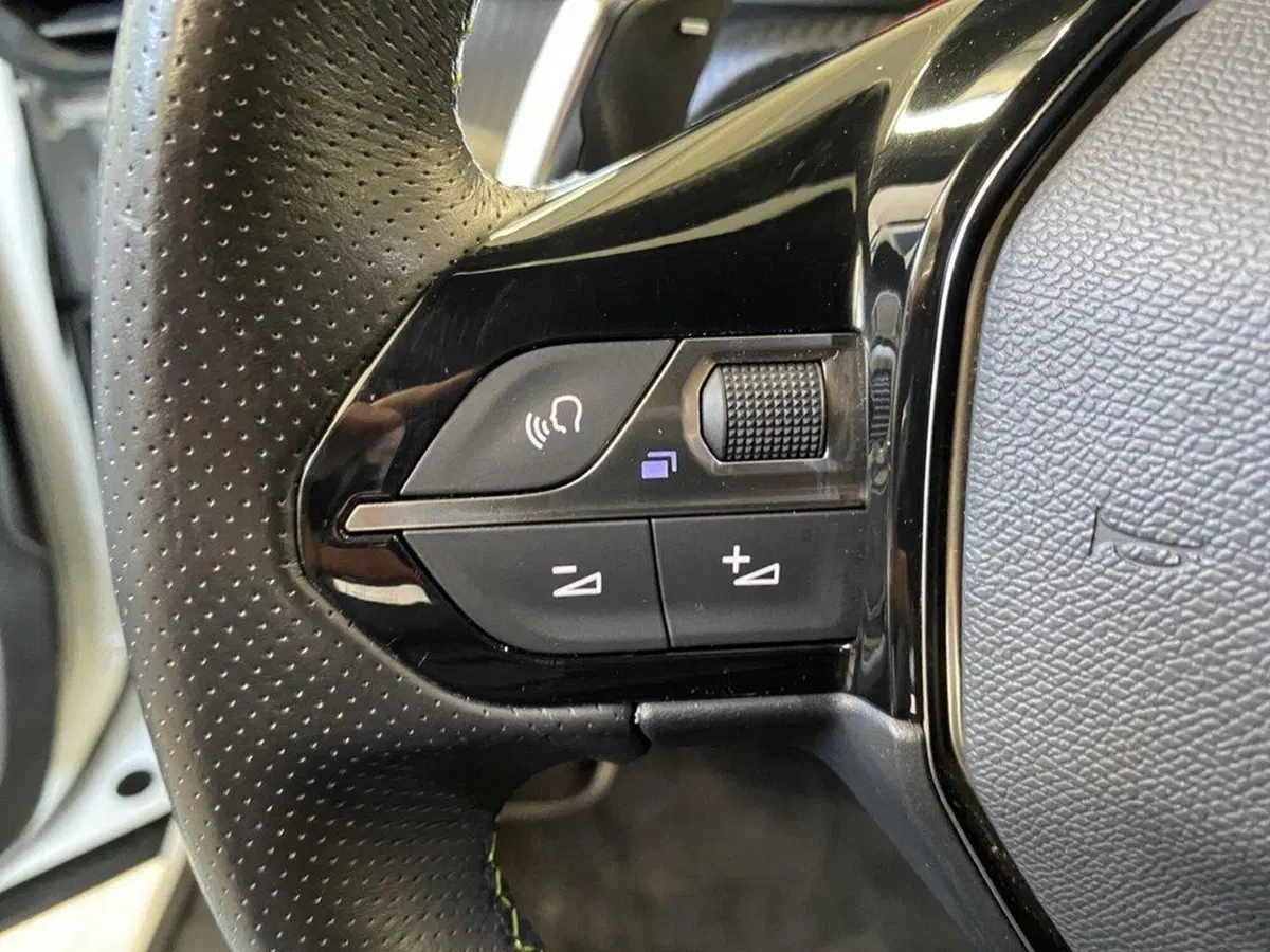 Peugeot 2008 usata a Torino (12)