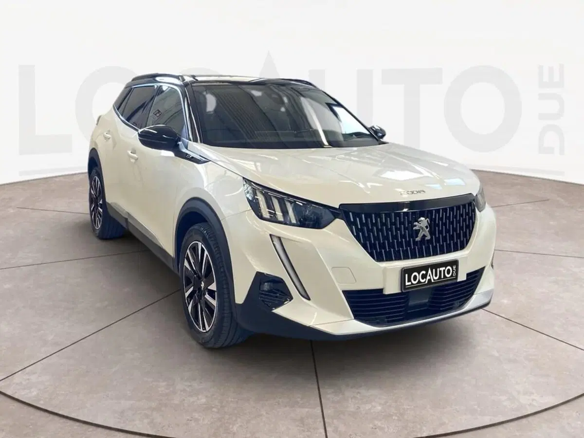 Peugeot 2008 usata a Torino (3)