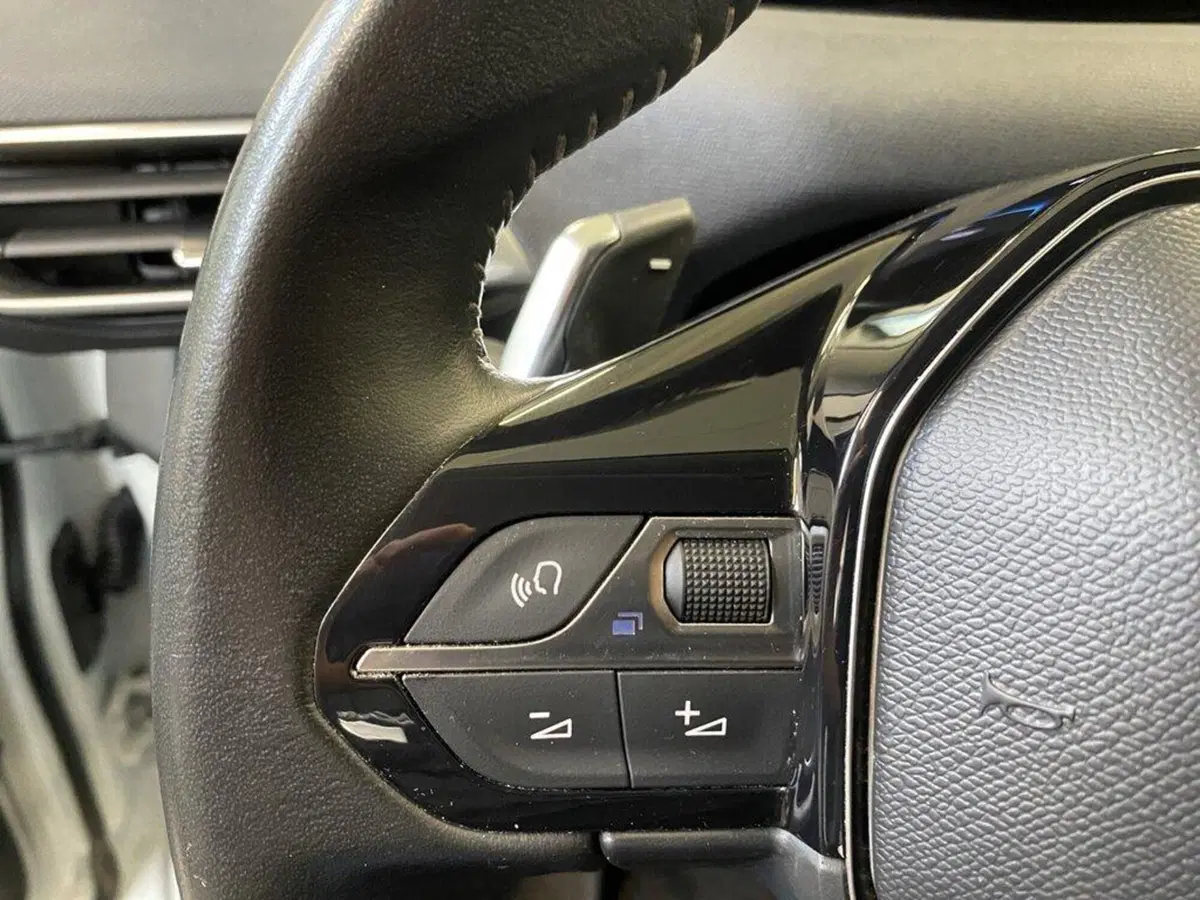 Peugeot 3008 usata a Torino (12)