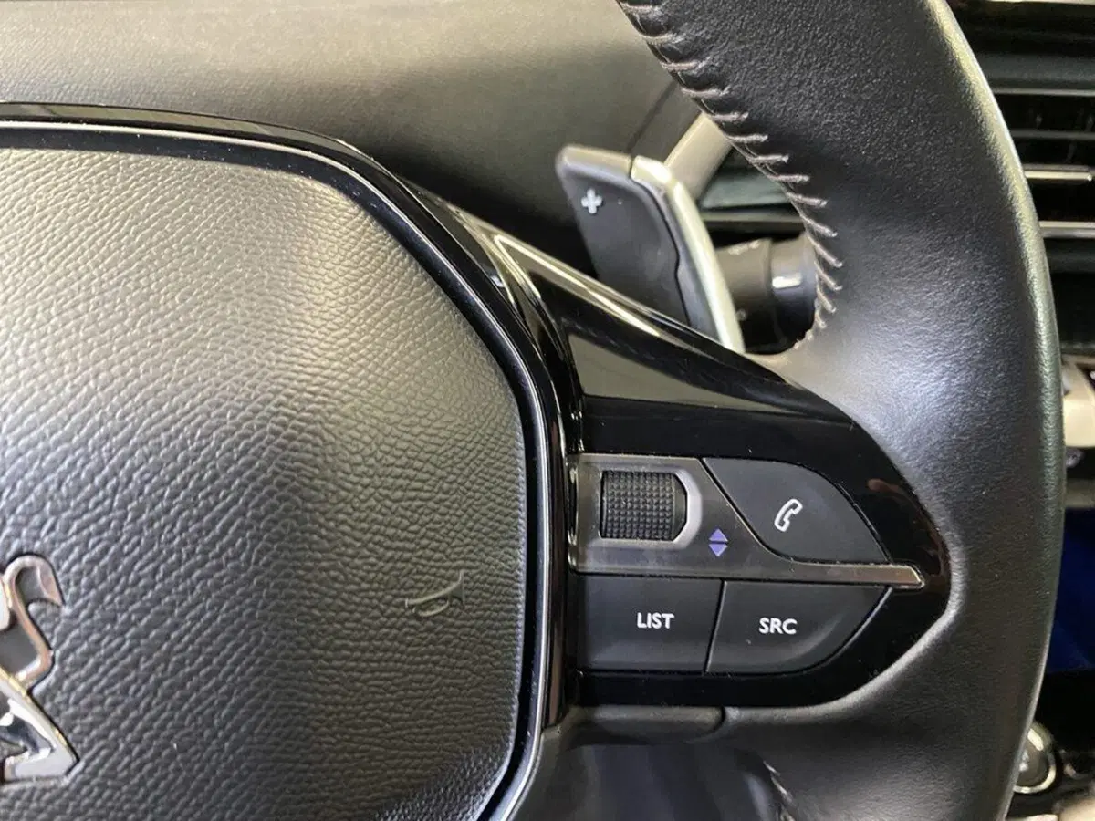Peugeot 3008 usata a Torino (13)