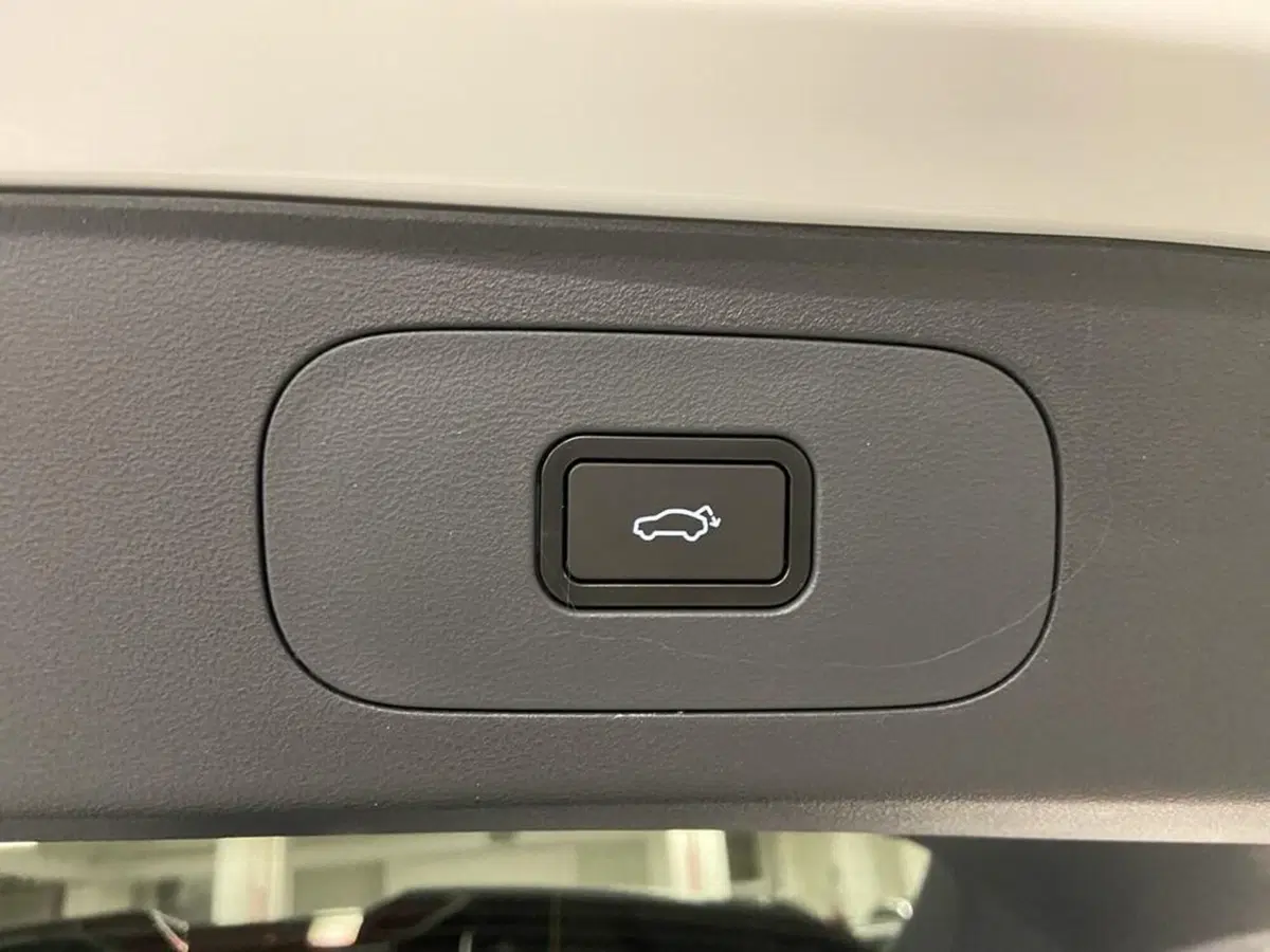 Geely Starray nuova a Torino (13)