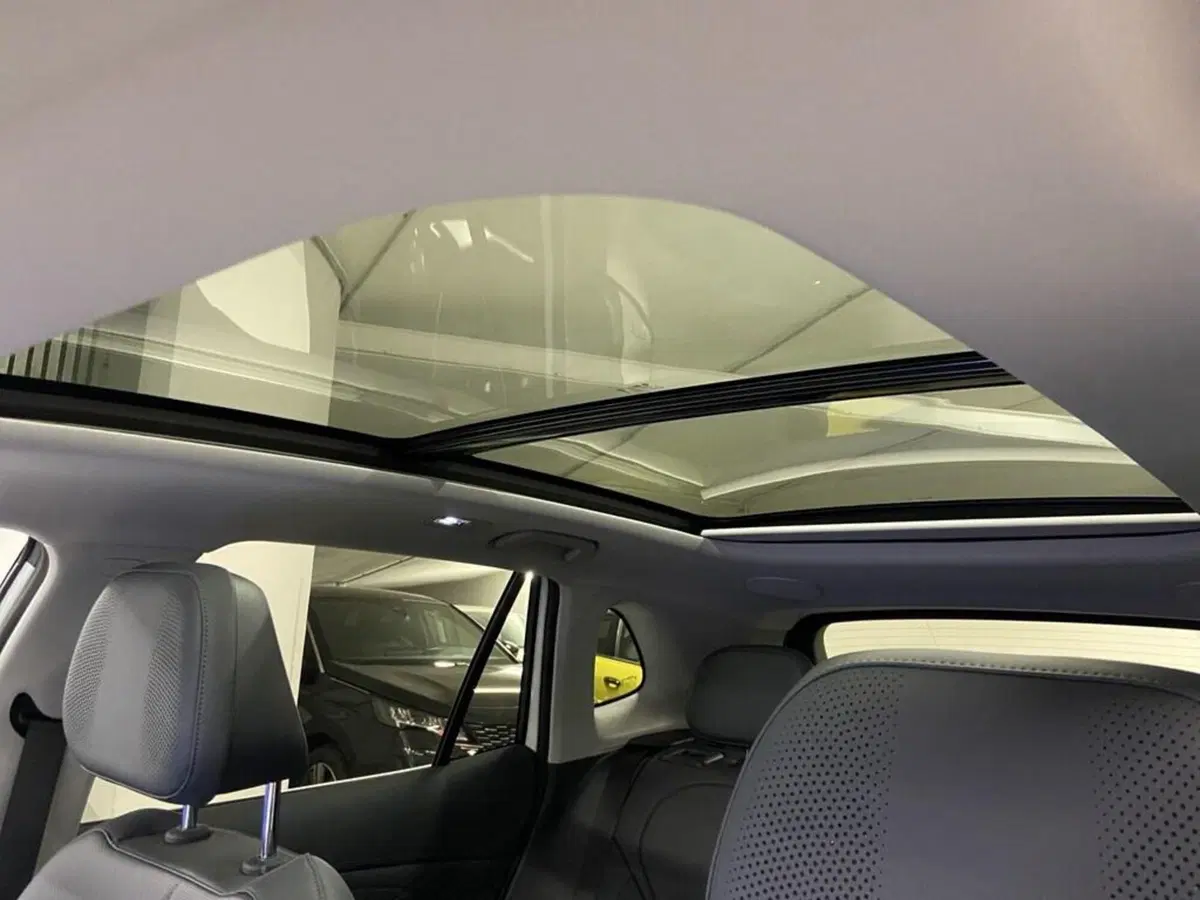 Geely Starray nuova a Torino (14)