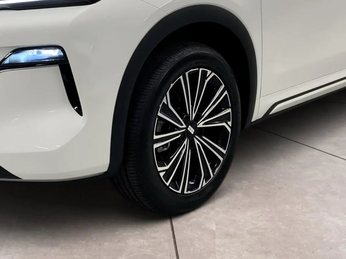 Geely Starray nuova a Torino (15)