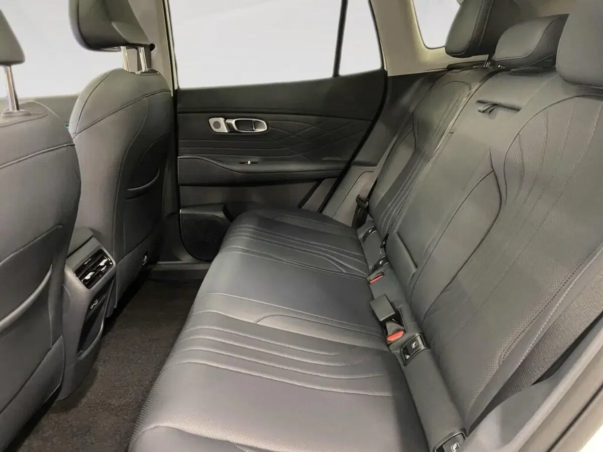Geely Starray nuova a Torino (8)