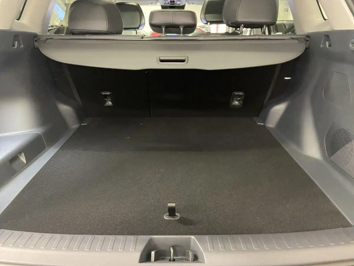 Geely Starray nuova a Torino (9)
