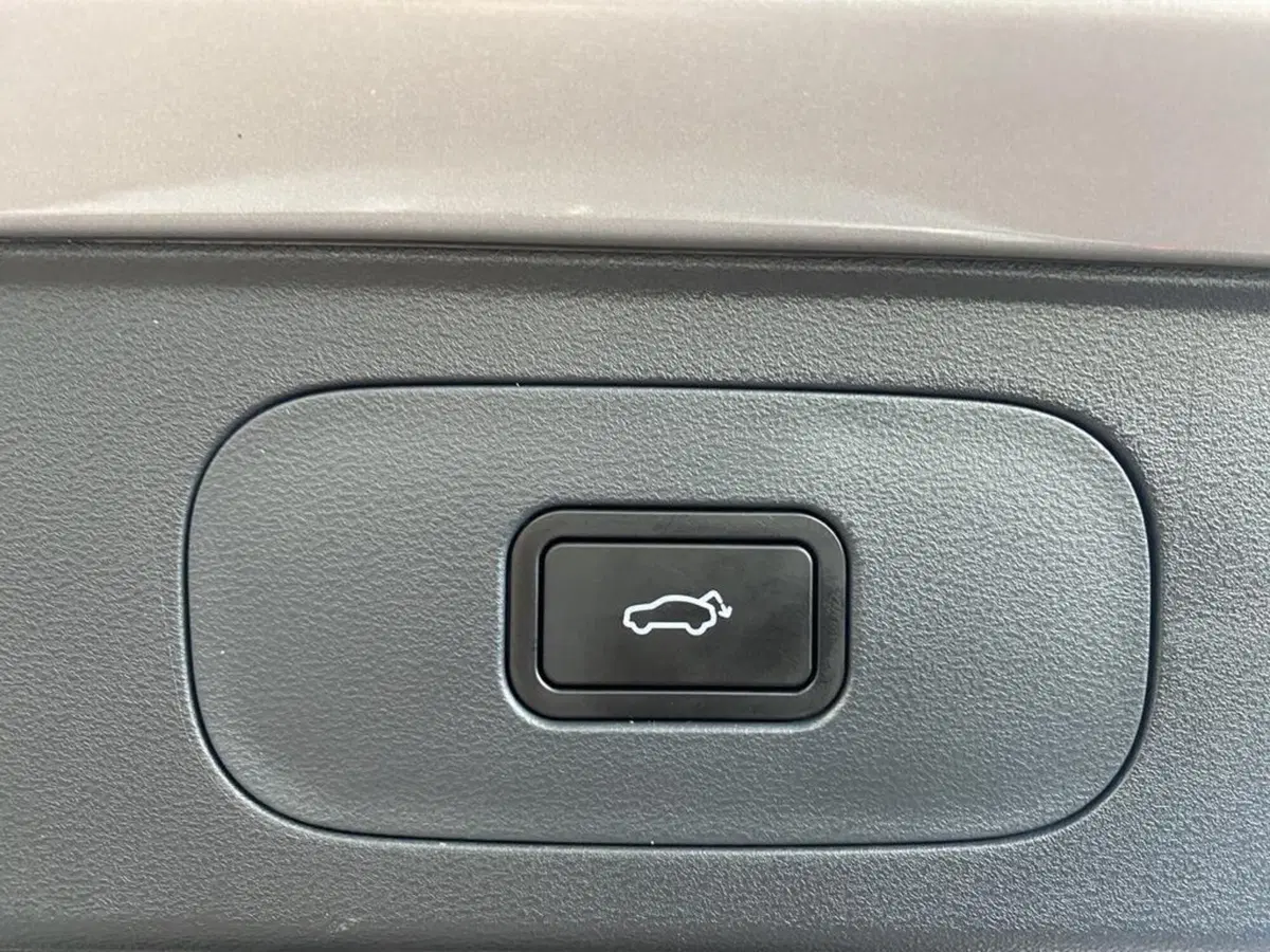 Geely Starray nuova a Torino (14)