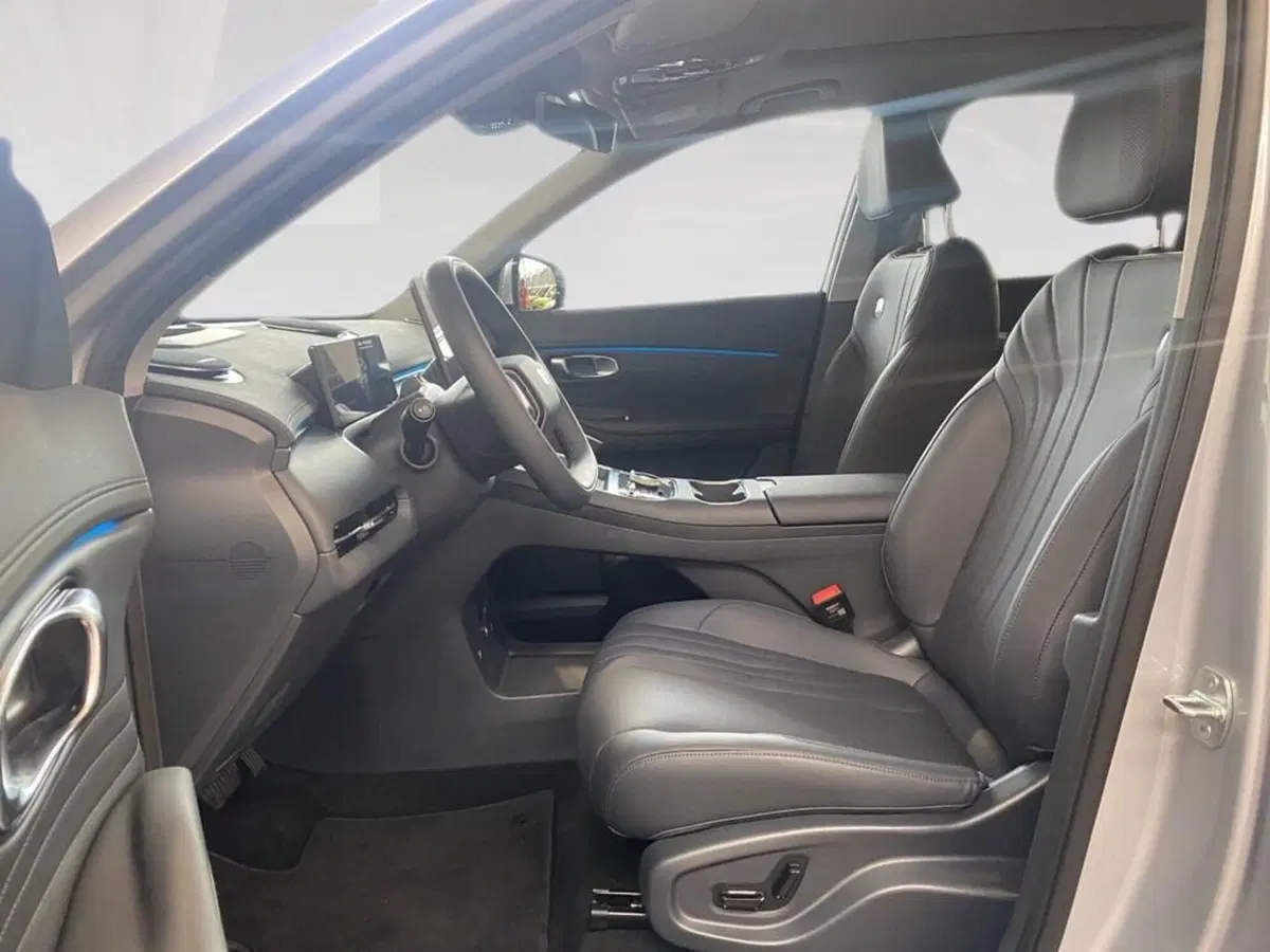 Geely Starray nuova a Torino (7)
