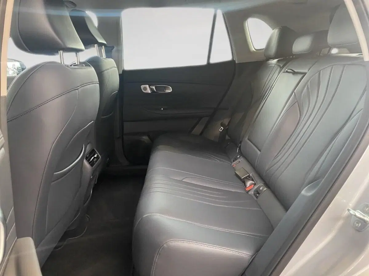 Geely Starray nuova a Torino (8)
