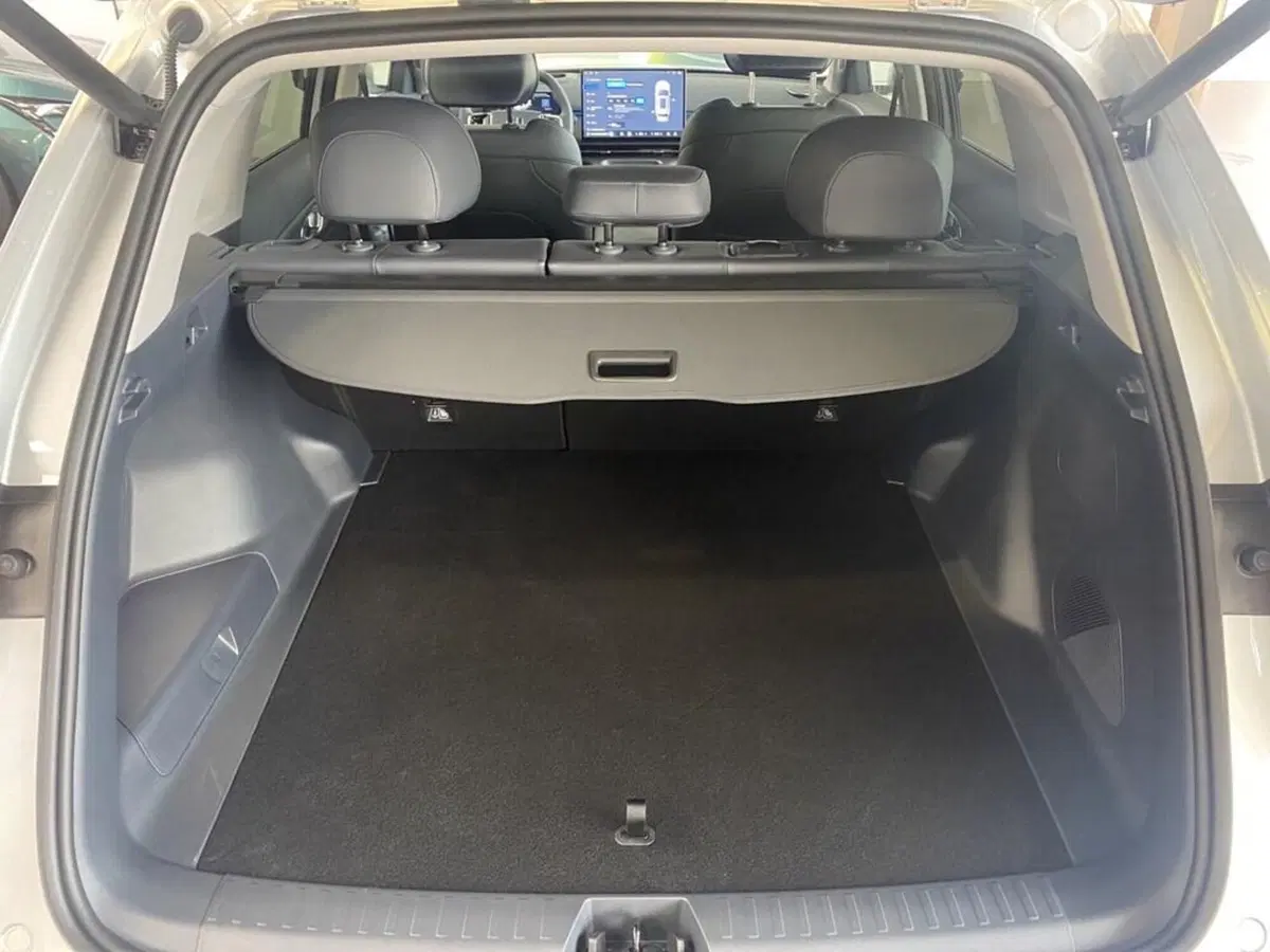 Geely Starray nuova a Torino (9)