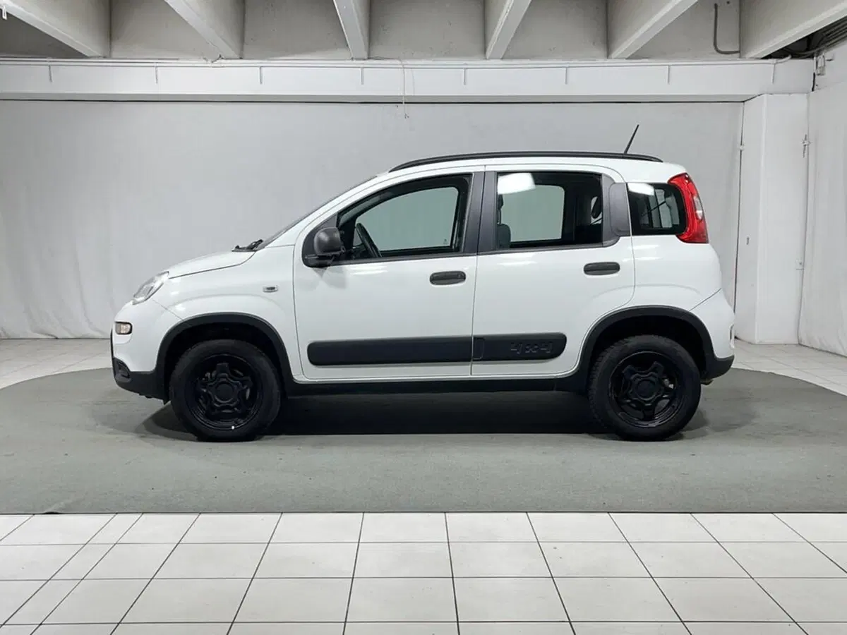 Fiat Panda usata a Sondrio (2)